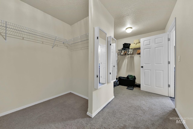 spacious closet with carpet flooring