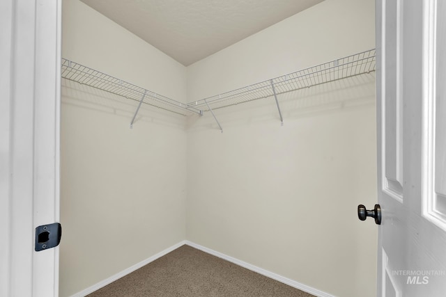 walk in closet featuring carpet