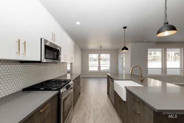 kitchen featuring light wood-style flooring, a sink, decorative backsplash, stainless steel appliances, and white cabinetry