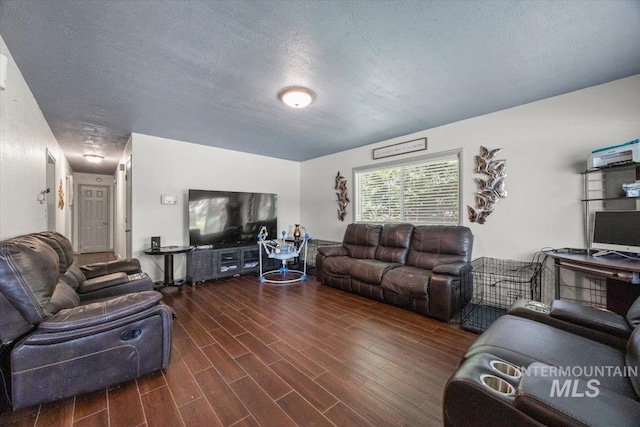 77 S Canyon St, Nampa, ID 83651 - living room featuring wood finished floors and a textured ceiling