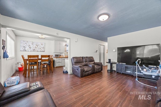 77 S Canyon St, Nampa, ID 83651 - living room featuring wood finished floors and a textured ceiling