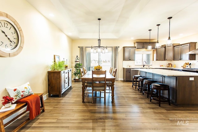 dining space with a tray ceiling, sink, and wood-type flooring