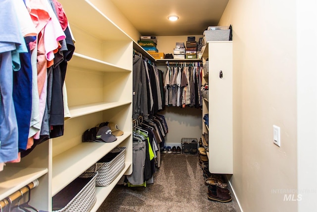 spacious closet featuring carpet floors