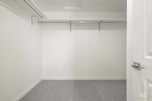 walk in closet with carpet flooring