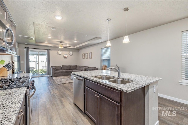 17719 Jackson Ridge Way, Nampa, ID 83687 - kitchen with a sink, stainless steel appliances, a raised ceiling, dark brown cabinets, and wood finished floors
