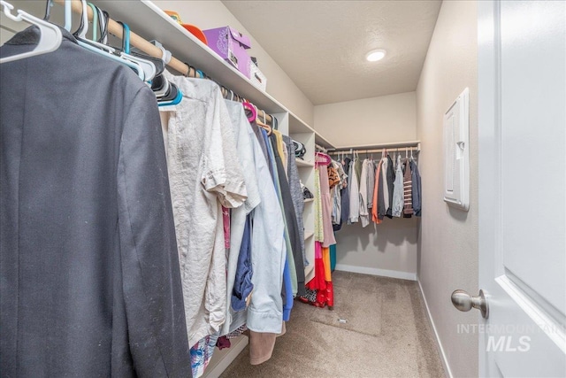 17719 Jackson Ridge Way, Nampa, ID 83687 - spacious closet featuring carpet