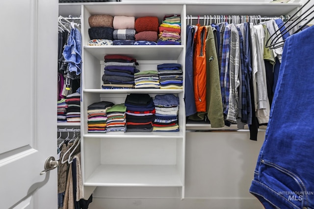 view of closet