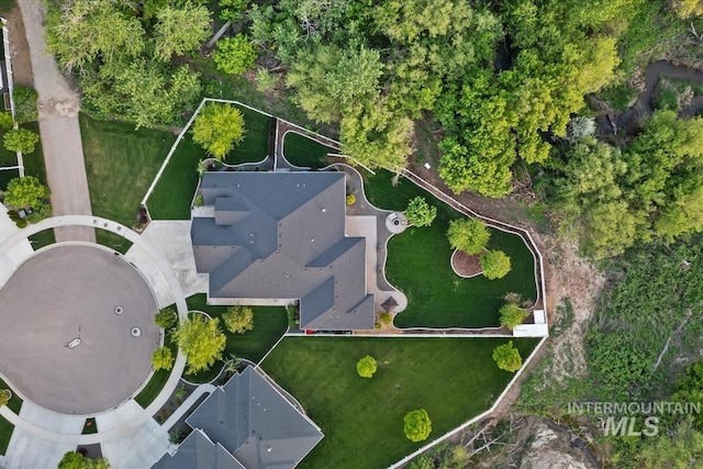 bird's eye view