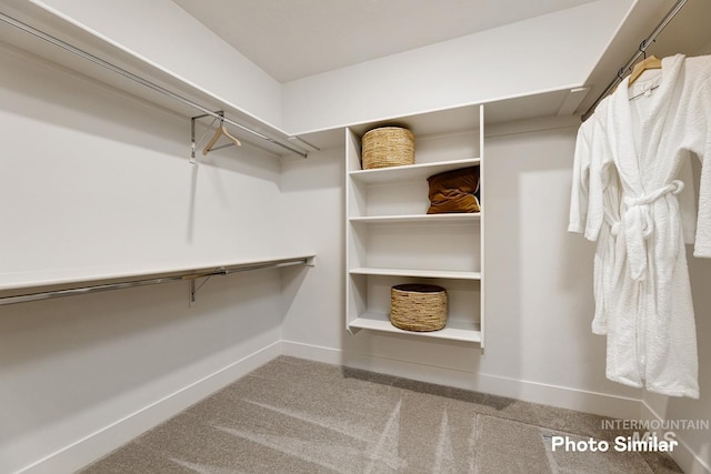 walk in closet with carpet