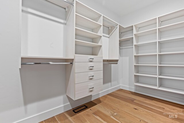 885 E Joplin Ln, Eagle, ID 83616 - walk in closet with light wood-style floors