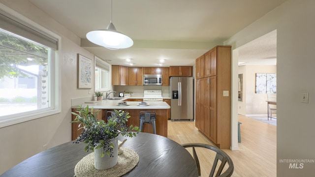11254 W Camas St, Boise, ID 83709 - kitchen with appliances with stainless steel finishes, a sink, light countertops, and healthy amount of natural light