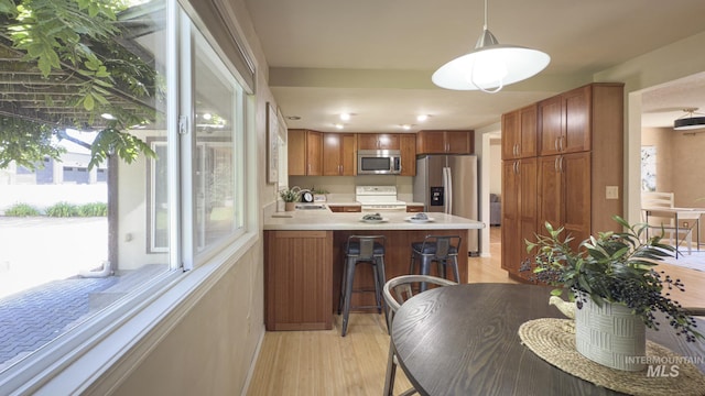 11254 W Camas St, Boise, ID 83709 - kitchen featuring appliances with stainless steel finishes, a peninsula, light wood finished floors, light countertops, and brown cabinetry