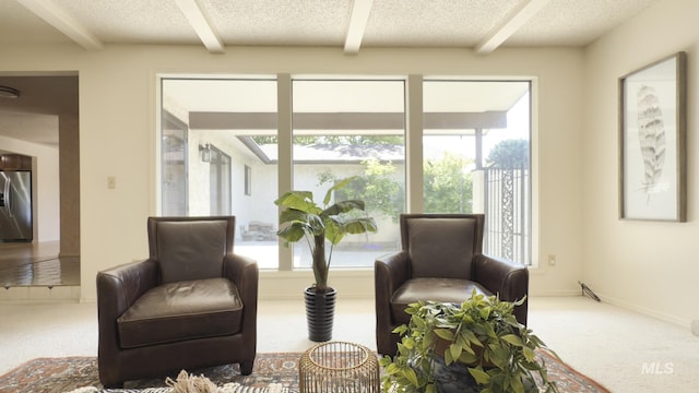 11254 W Camas St, Boise, ID 83709 - living area with carpet flooring, beam ceiling, and a textured ceiling