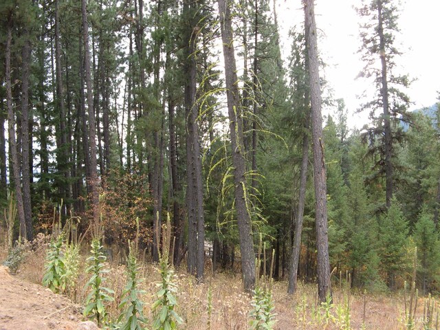LOT4 Rita Ln, Garden Valley, ID 83622
