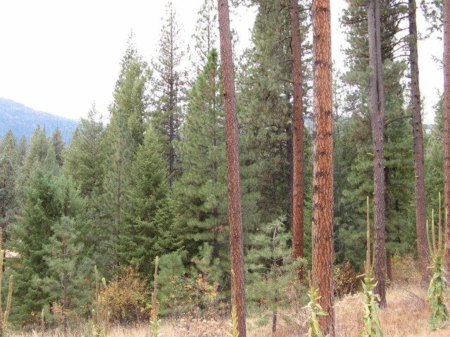 LOT4 Rita Ln, Garden Valley, ID 83622