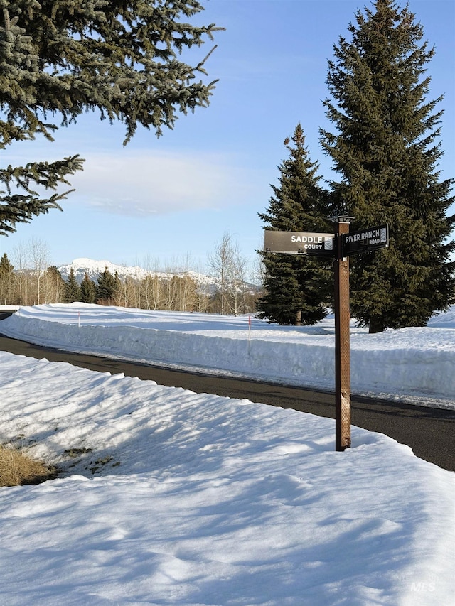 101 Saddle Ct, Mccall, ID 83638