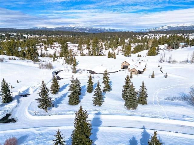 101 Saddle Ct, Mccall, ID 83638