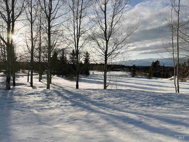 101 Saddle Ct, Mccall, ID 83638