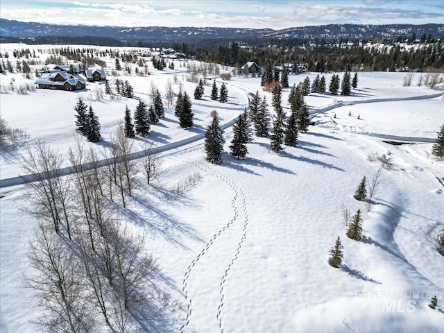 101 Saddle Ct, Mccall, ID 83638
