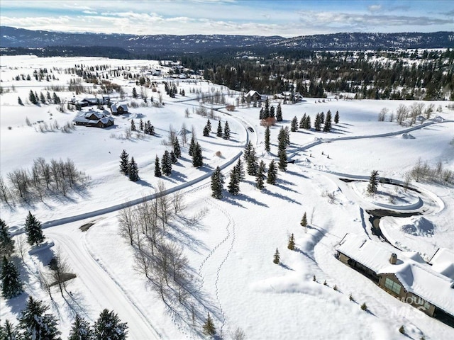 101 Saddle Ct, Mccall, ID 83638