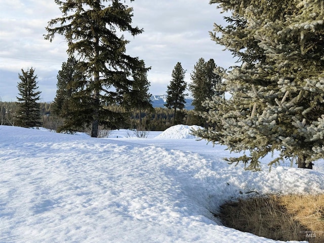 101 Saddle Ct, Mccall, ID 83638
