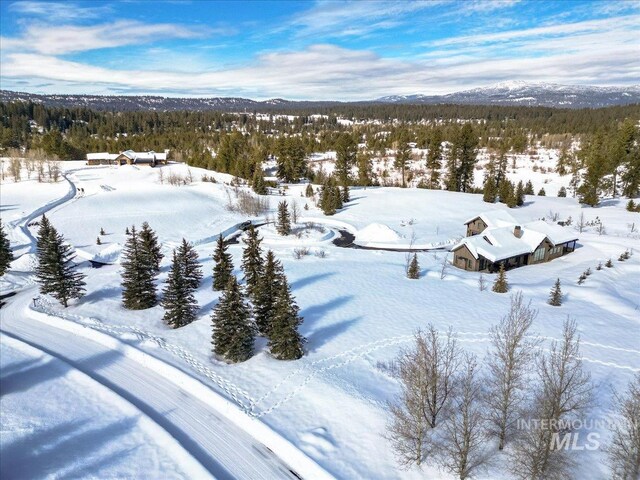 101 Saddle Ct, Mccall, ID 83638
