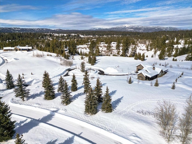 101 Saddle Ct, Mccall, ID 83638