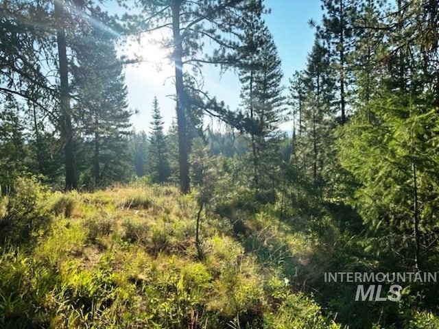 236 4th St, Cascade ID, 83611 land for sale