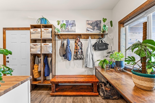3383 Ridge Dr, Mccall, ID 83638 - mudroom featuring wood finished floors
