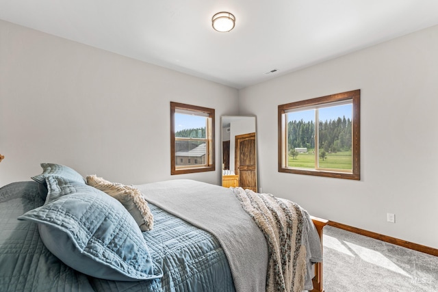 3383 Ridge Dr, Mccall, ID 83638 - bedroom featuring multiple windows and carpet flooring