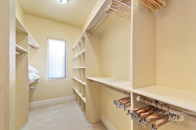 spacious closet featuring light colored carpet