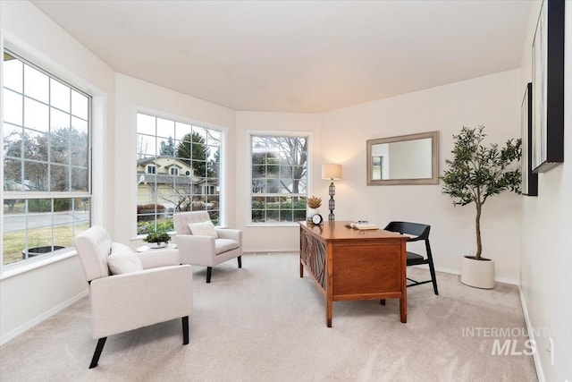 office space featuring baseboards and light carpet