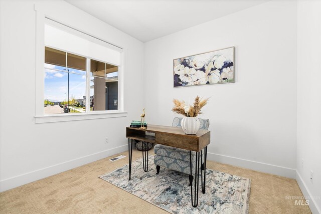 4875 N Glenrock Ave, Meridian, ID 83646 - carpeted home office featuring visible vents and baseboards