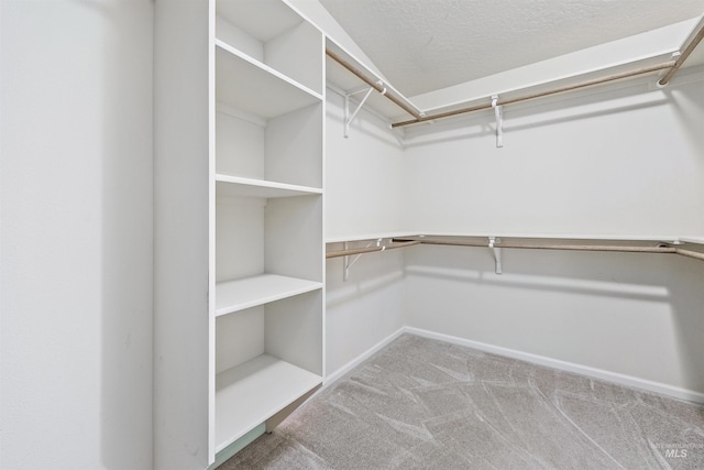 9788 Hwy 78, Hammett, ID 83627 - walk in closet with carpet flooring