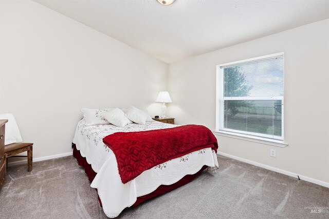 9788 Hwy 78, Hammett, ID 83627 - carpeted bedroom featuring baseboards