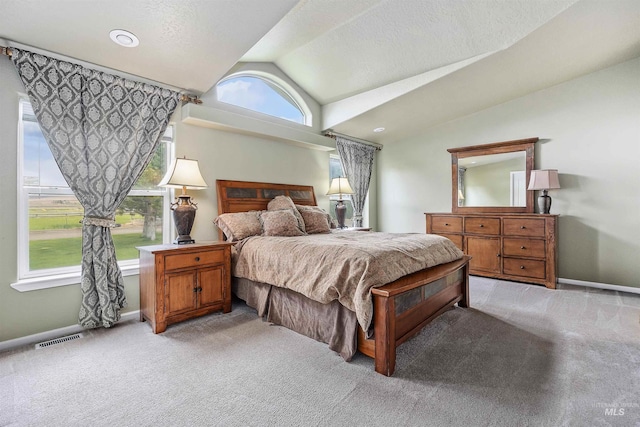 9788 Hwy 78, Hammett, ID 83627 - bedroom featuring a textured ceiling, visible vents, light carpet, lofted ceiling, and baseboards