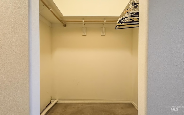 spacious closet featuring carpet flooring
