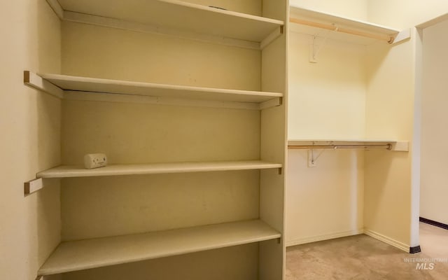 walk in closet with light carpet