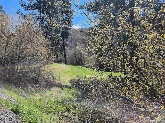 TBD Four Mile Rd, Viola, ID 83872