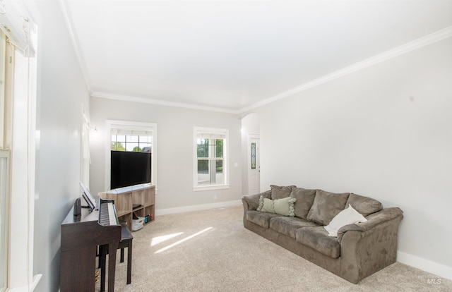 6174 N Queensbury Pl, Boise, ID 83713 - living area featuring carpet floors, ornamental molding, baseboards, and arched walkways