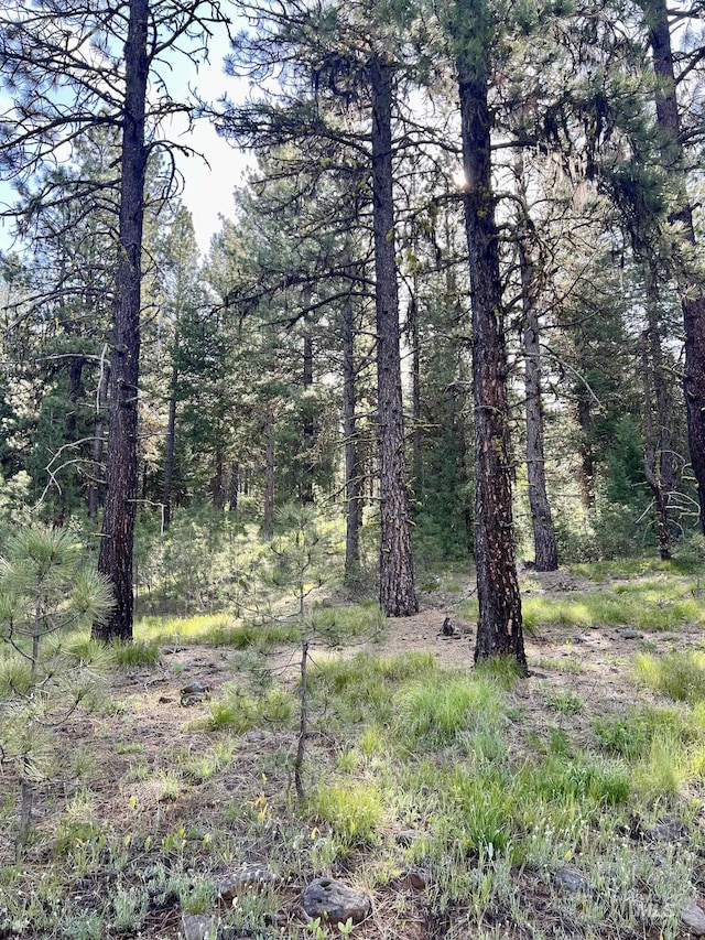 LOT20 Meadows Rd, New Meadows, ID 83654