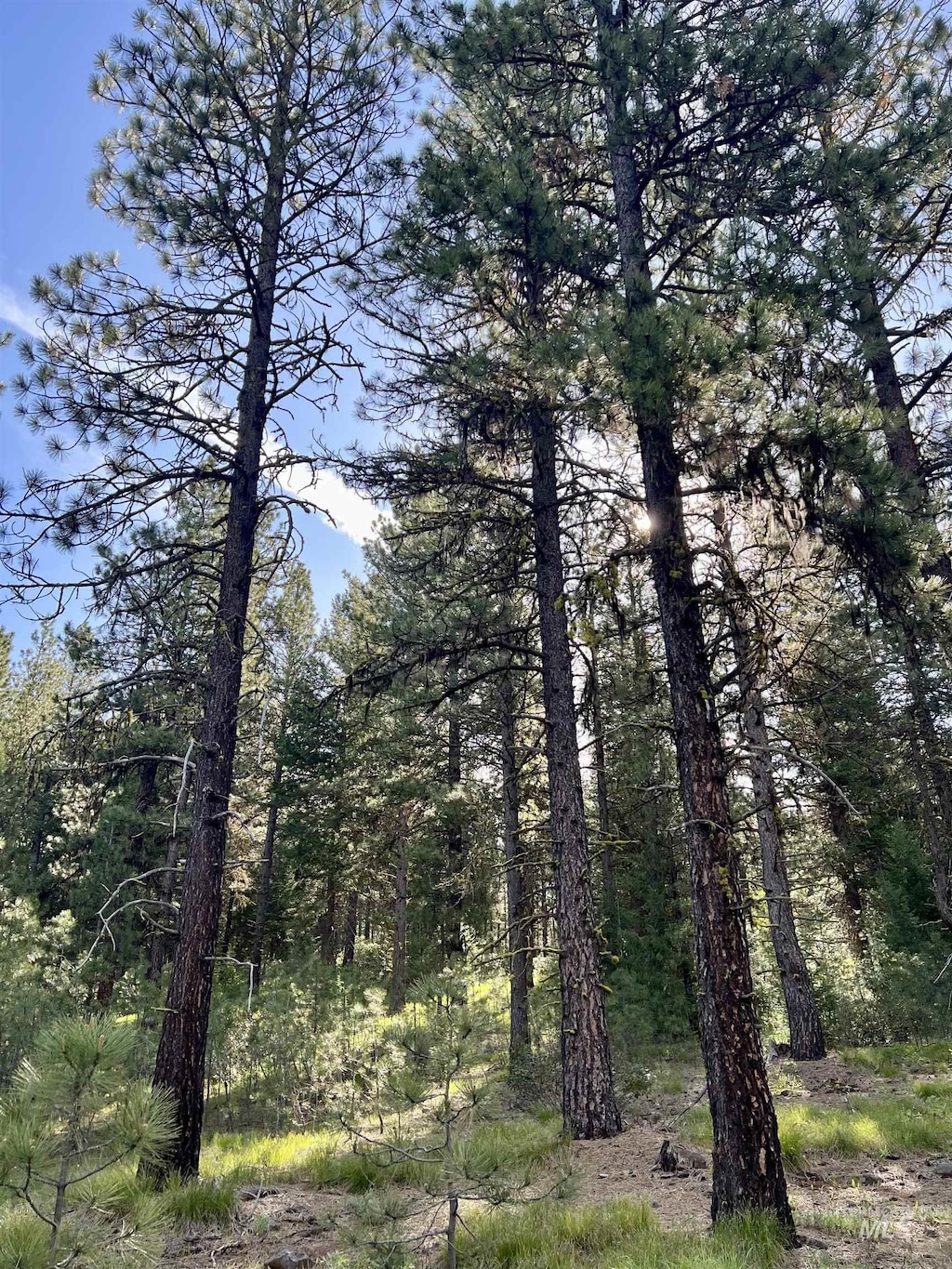 LOT20 Meadows Rd, New Meadows, ID 83654