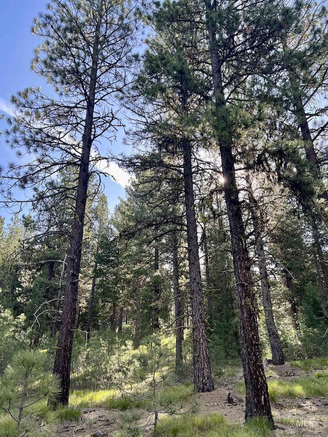 LOT20 Meadows Rd, New Meadows, ID 83654