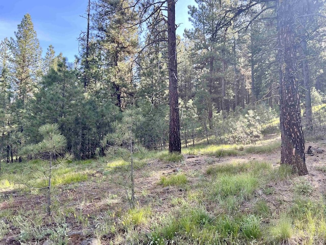 LOT20 Meadows Rd, New Meadows, ID 83654