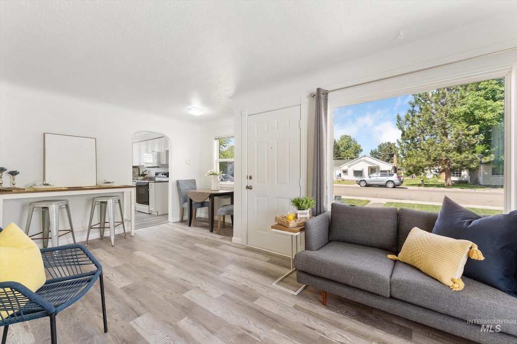 608 S Pine St, Nampa, ID 83686 - living area featuring arched walkways, light wood finished floors, and healthy amount of natural light