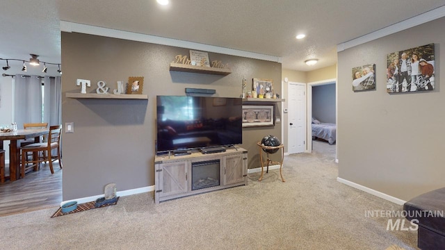 living room featuring light carpet, a textured ceiling, and baseboards