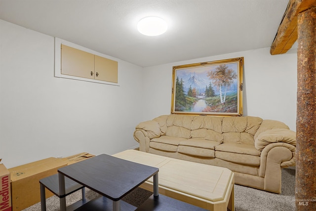 view of carpeted living area