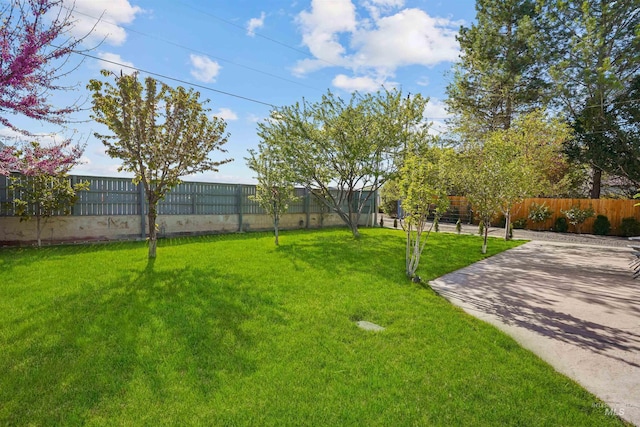 view of yard with a patio and a fenced backyard