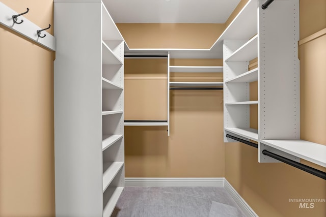 spacious closet featuring carpet floors