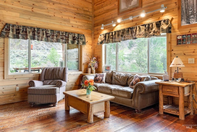 living room with plenty of natural light, wood walls, and dark hardwood / wood-style flooring